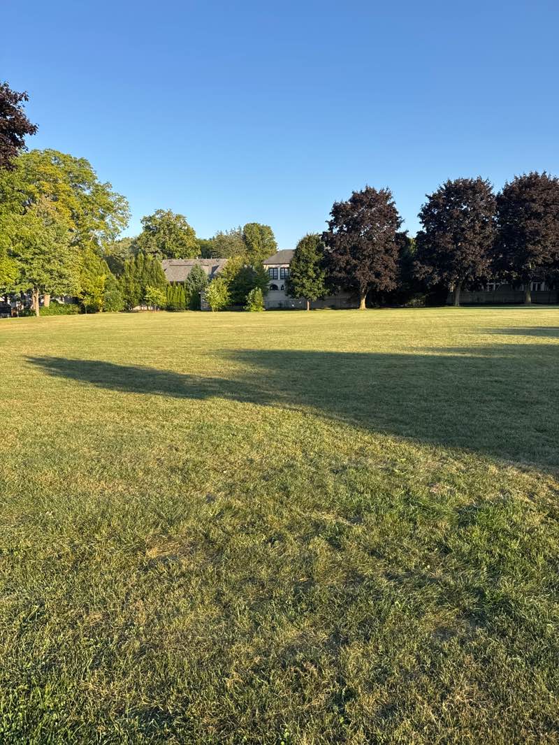 walking near me in Glen Afton Park in autumn