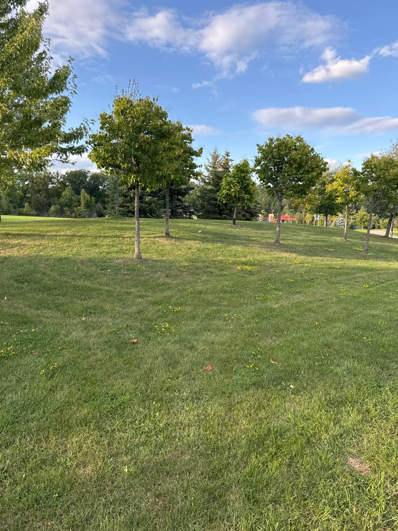 walking near me in Nautical Park in autumn