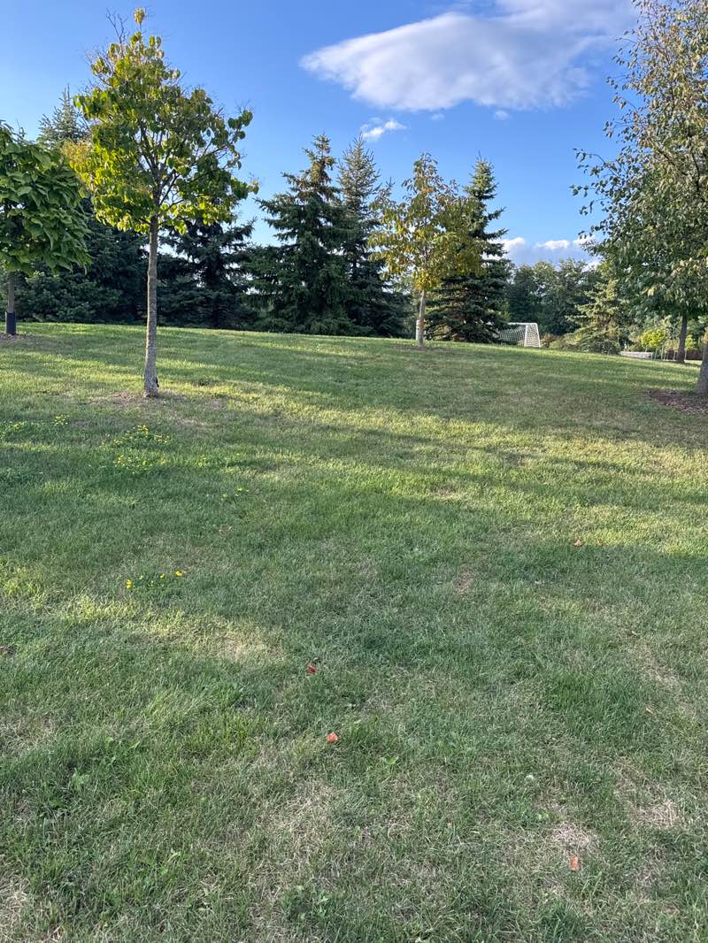 walking near me in Nautical Woods in autumn