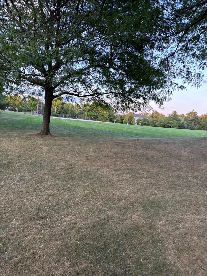 walking near me in Fothergill Woods in autumn