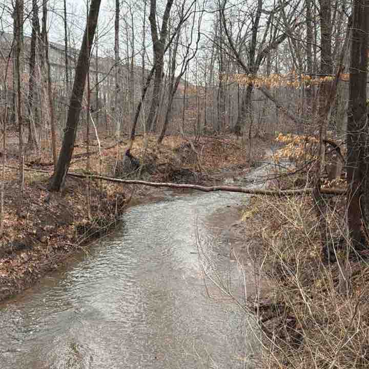 🇦🇱 YLI 🇨🇦 post 1