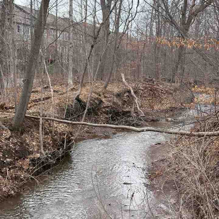 🇦🇱 YLI 🇨🇦 post 1