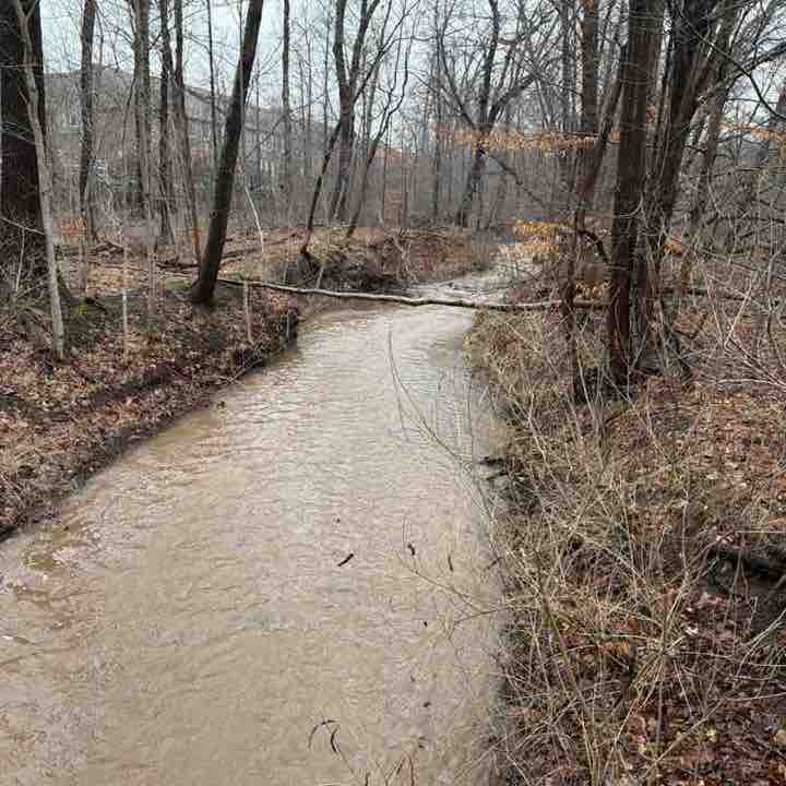 🇦🇱 YLI 🇨🇦 post 1