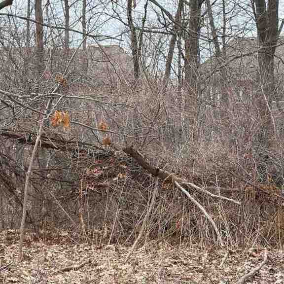 🇦🇱 YLI 🇨🇦 post 1