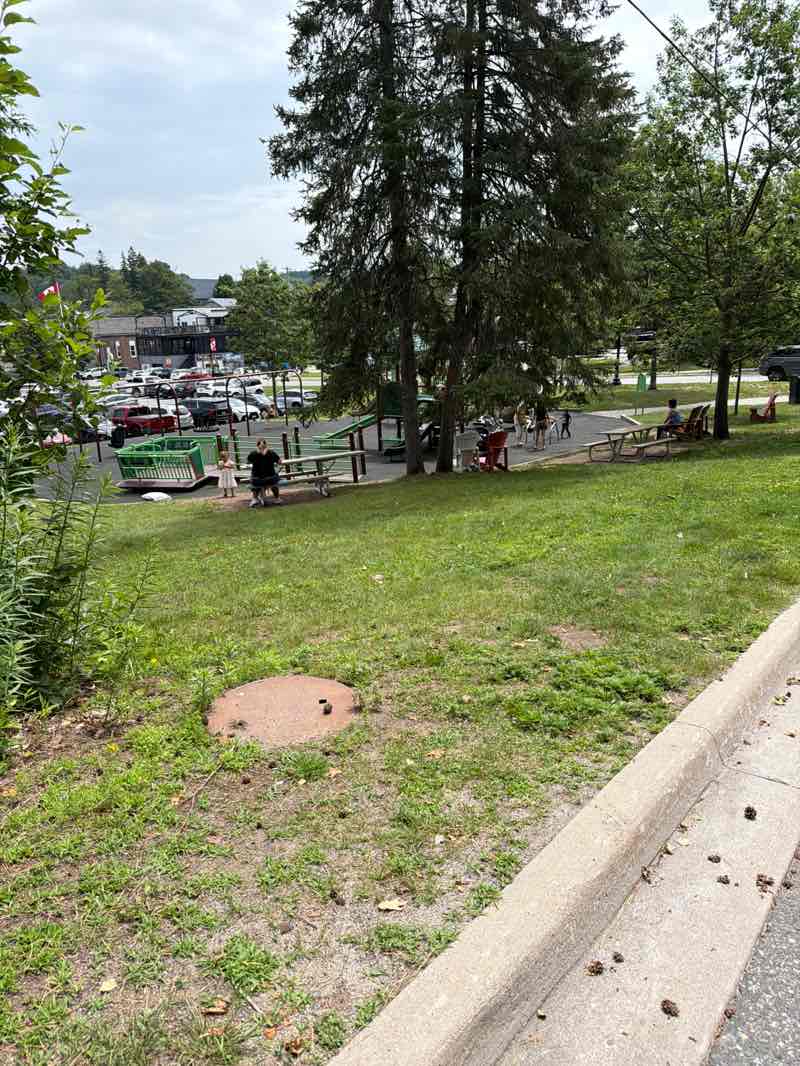 walking near me in River Mill Park in summer