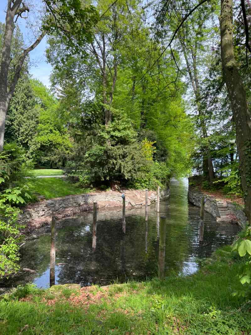 walking near me in Lindenhofpark in winter