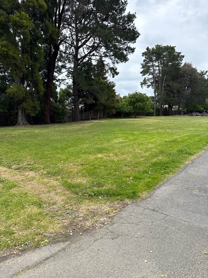 walking near me in Heatherwood Park in spring