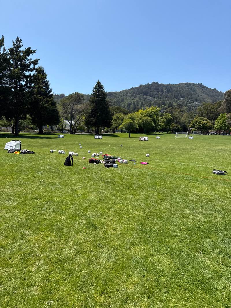 walking near me in Corte Madera Town Park in spring