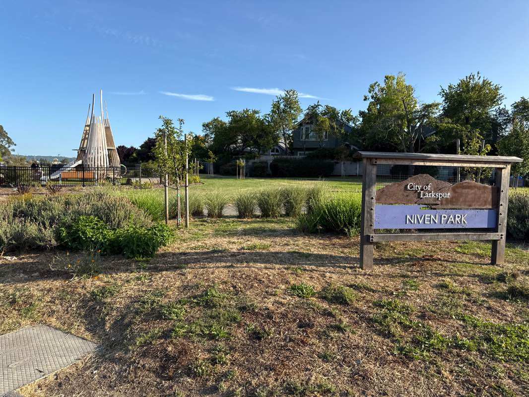 walking near me in Niven Park in summer