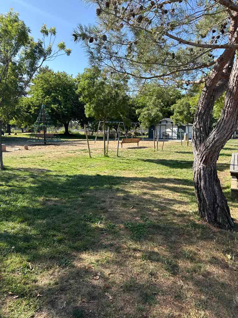 walking near me in Piper Park in summer