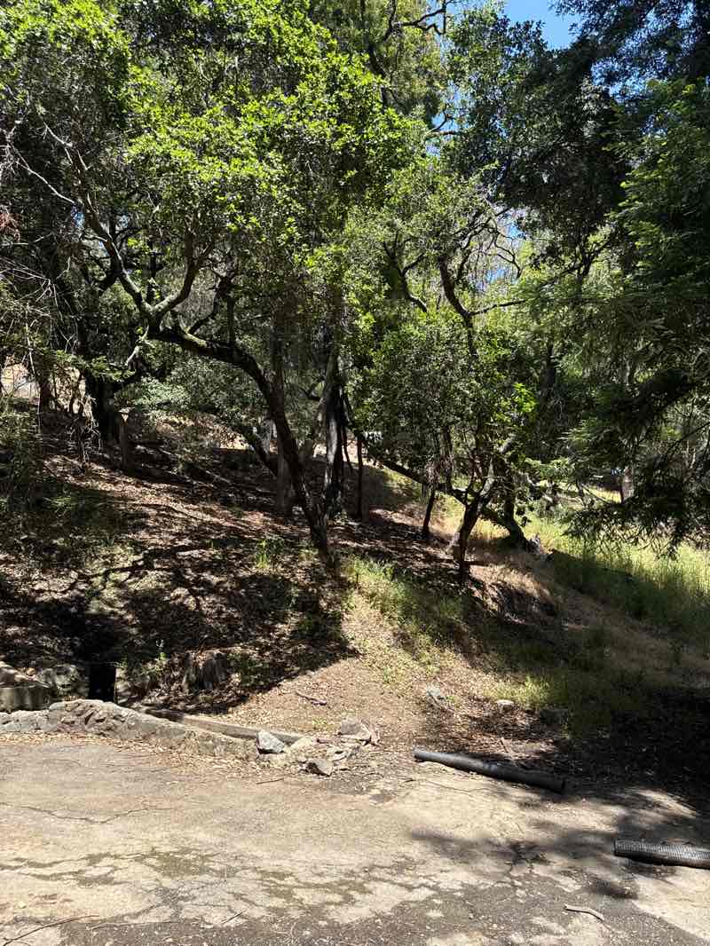 walking near me in Boyd Memorial Park in summer