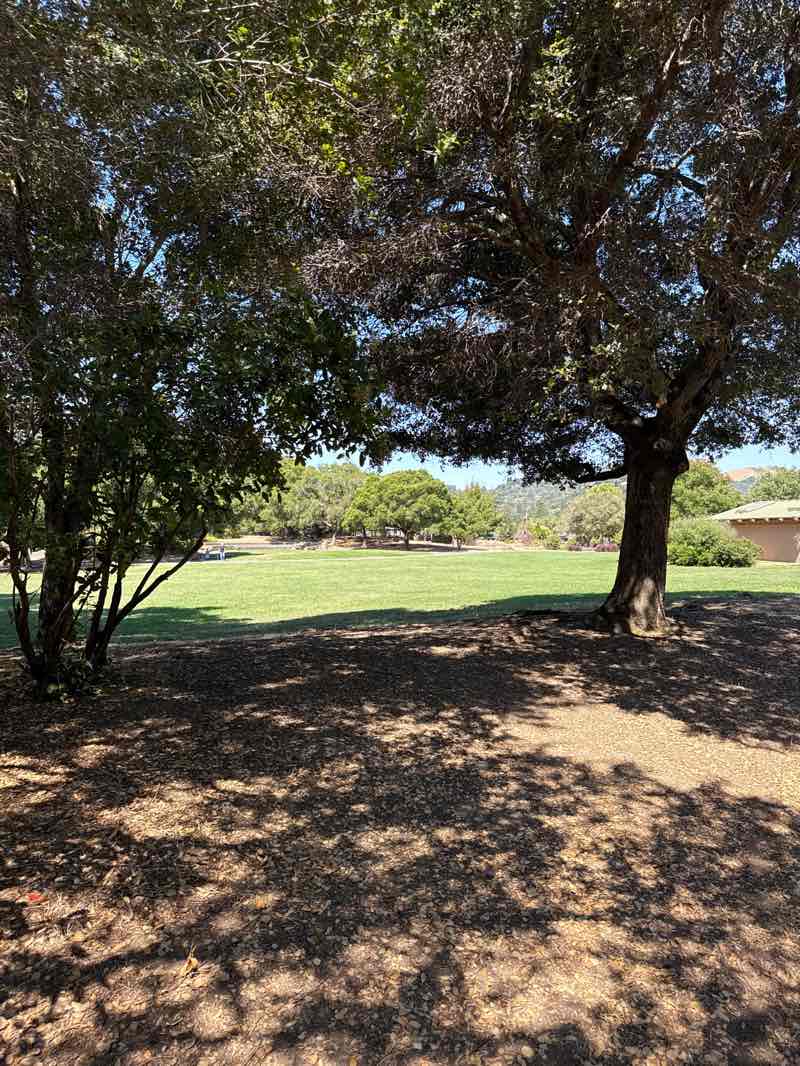 walking near me in Hal Brown Park at Creekside in summer