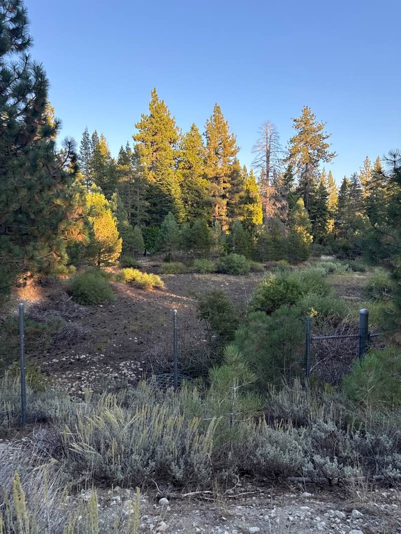 walking near me in Kailua Park in autumn
