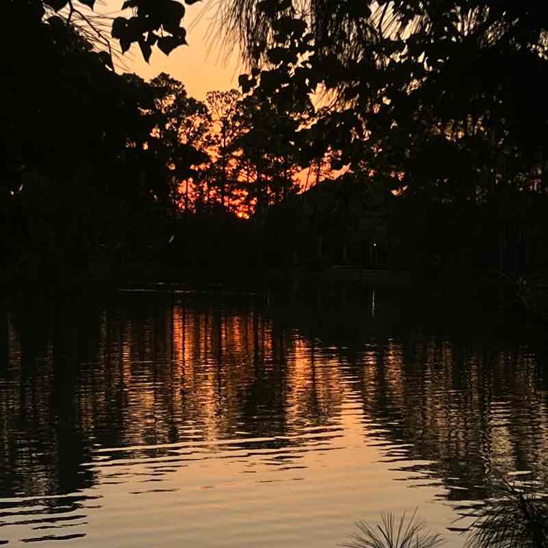 PacerPal-Kavi🕉🗽 post 1