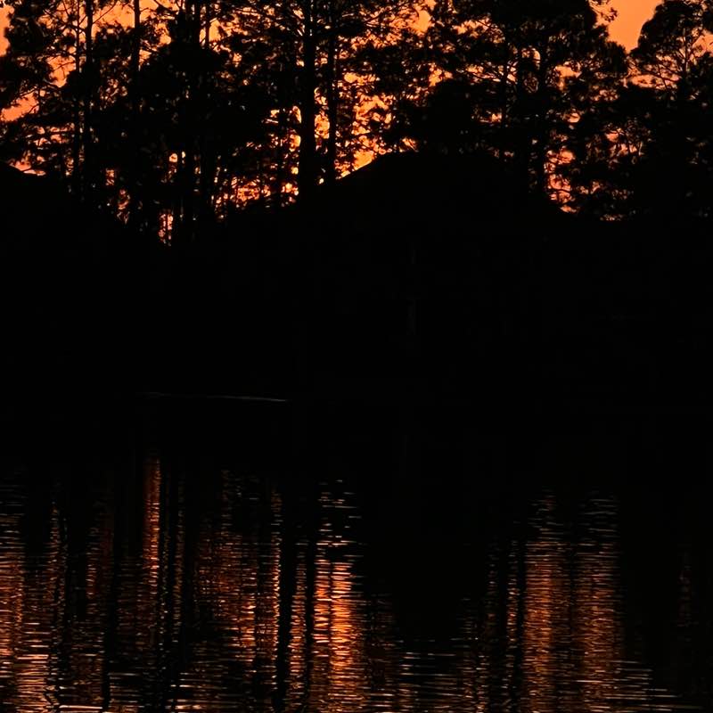 PacerPal-Kavi🕉🗽 post 3