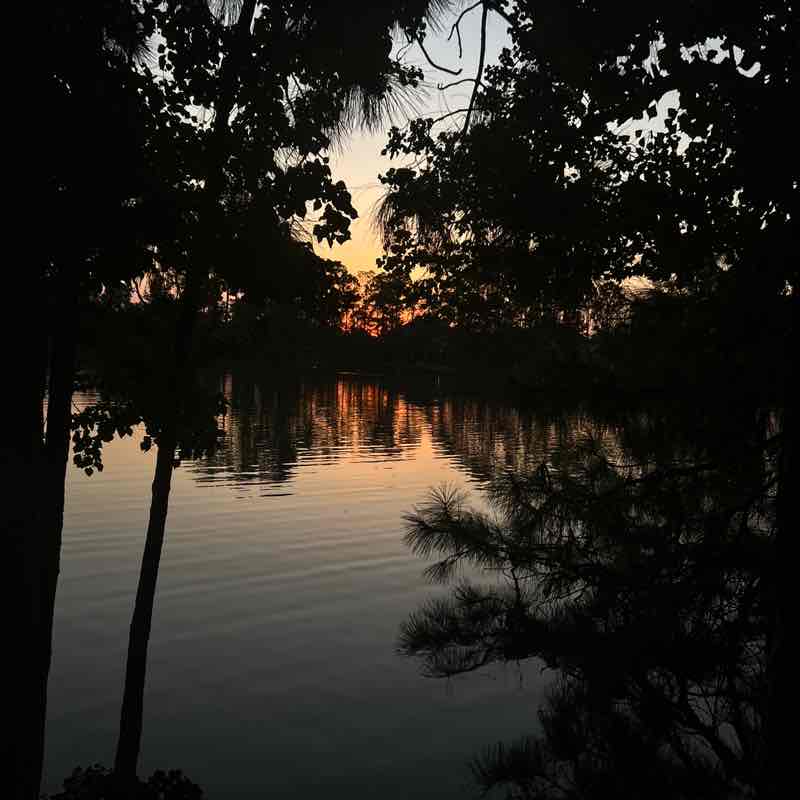 PacerPal-Kavi🕉🗽 post 2