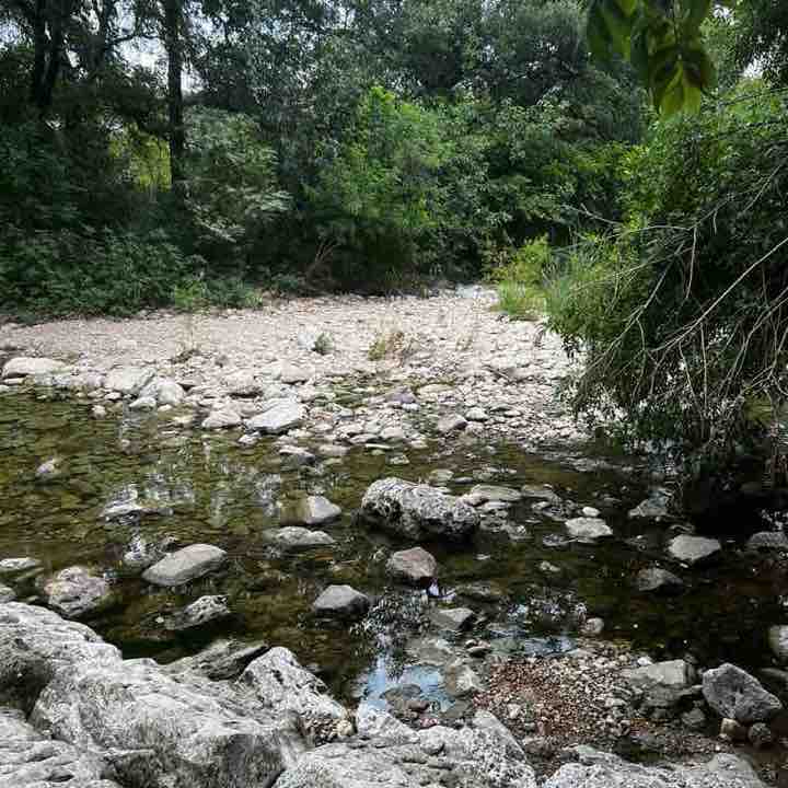 PacerPal-Kavi🕉🗽 post 1