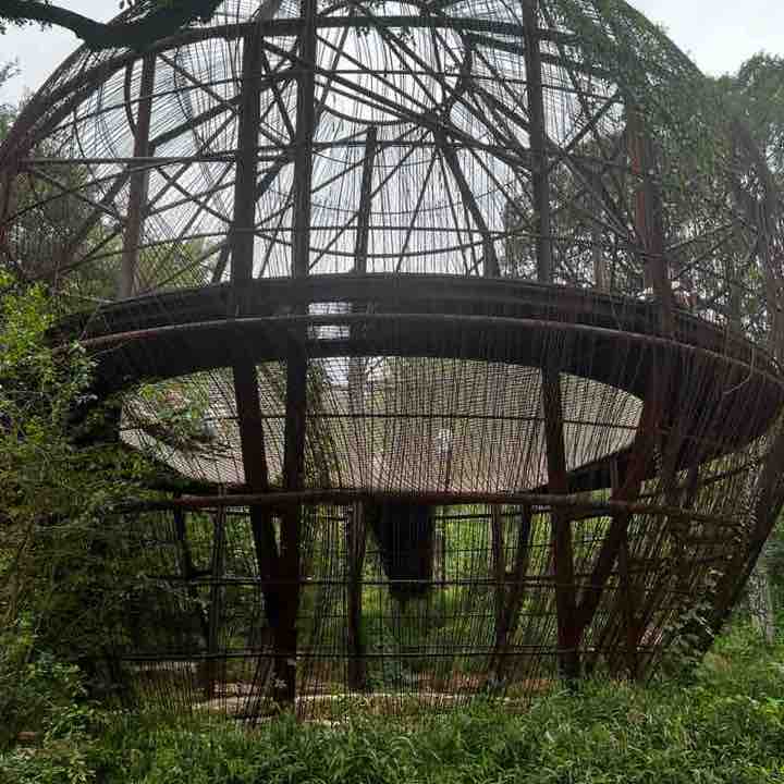 PacerPal-Kavi🕉🗽 post 2