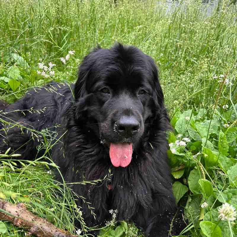 Алёна 🐾 post 1