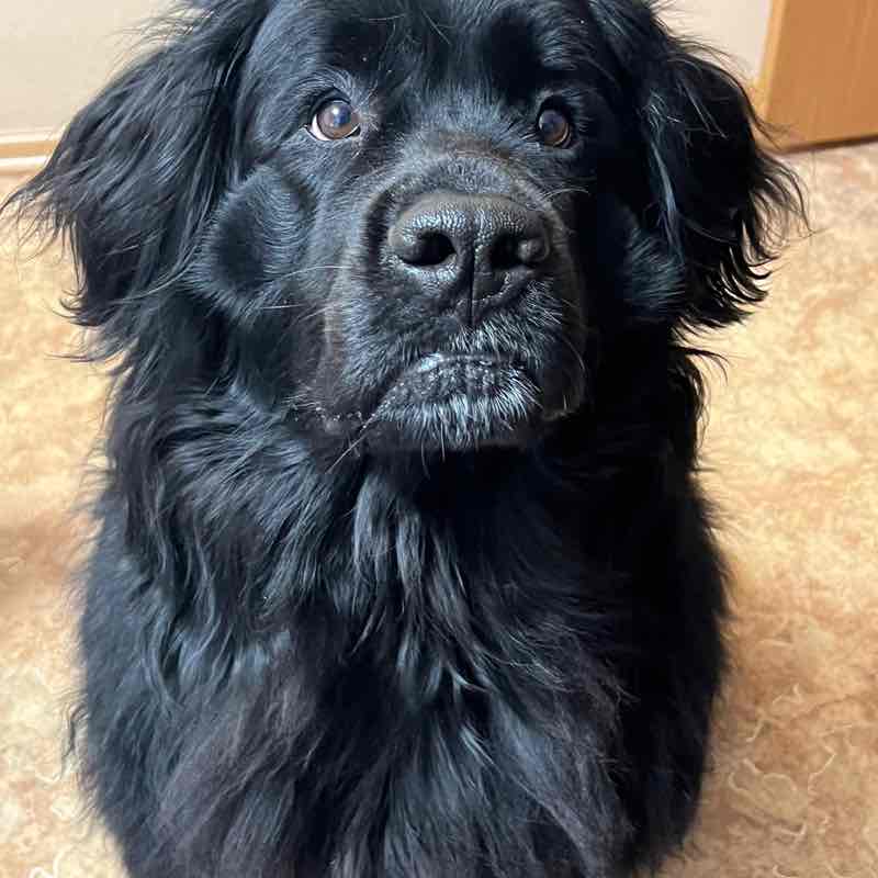 Алёна 🐾 post 2