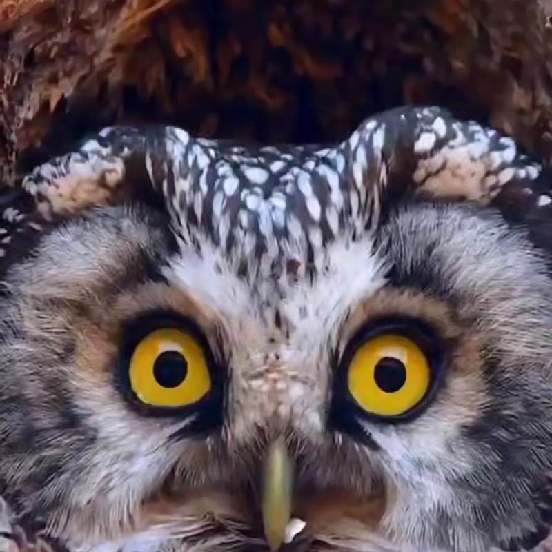 🌹NATURE  WALKS🌹 Elena 🪆 post image