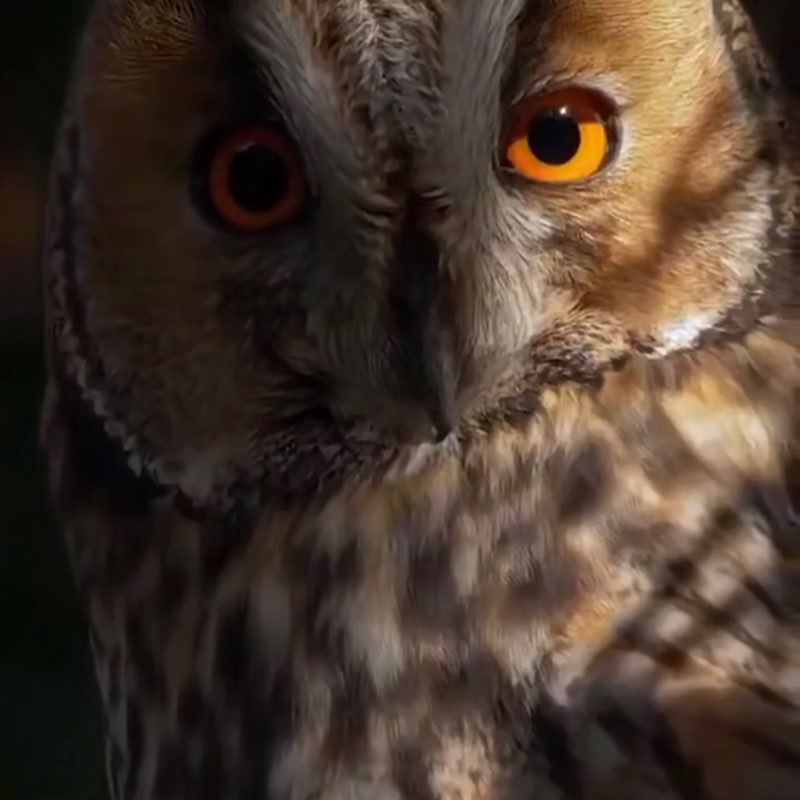 🌹NATURE  WALKS🌹 Elena 🪆 post image