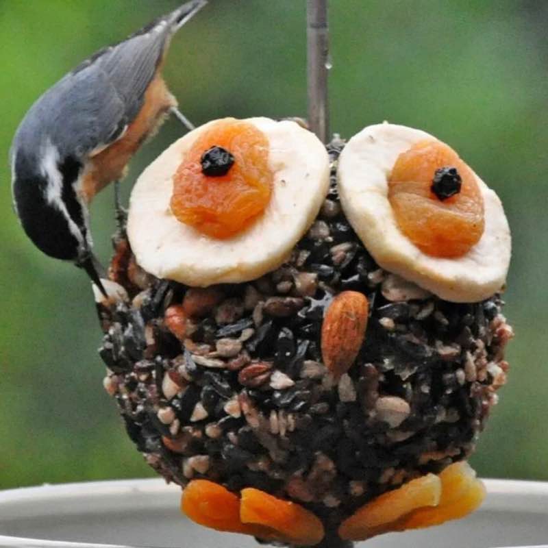 🌹NATURE  WALKS🌹 Elena 🪆 post image