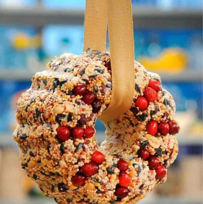 🌹NATURE  WALKS🌹 Elena 🪆 post image