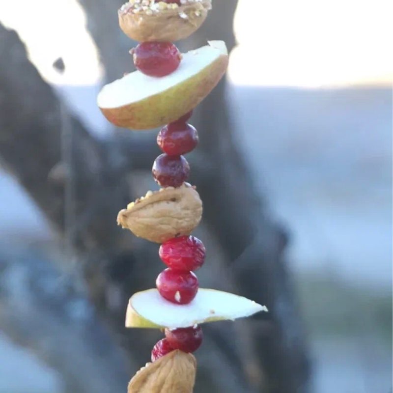 🌹NATURE  WALKS🌹 Elena 🪆 post image