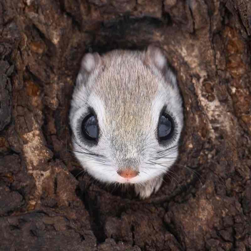 😍BEAUTIFUL NATURE😍 Elena 🪆 post image