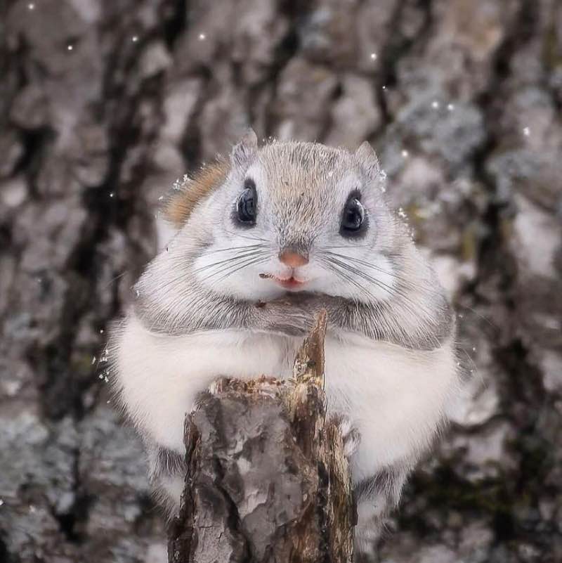 😍BEAUTIFUL NATURE😍 Elena 🪆 post image