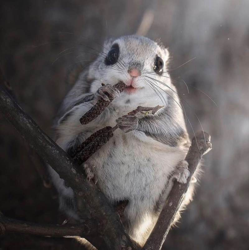 😍BEAUTIFUL NATURE😍 Elena 🪆 post image