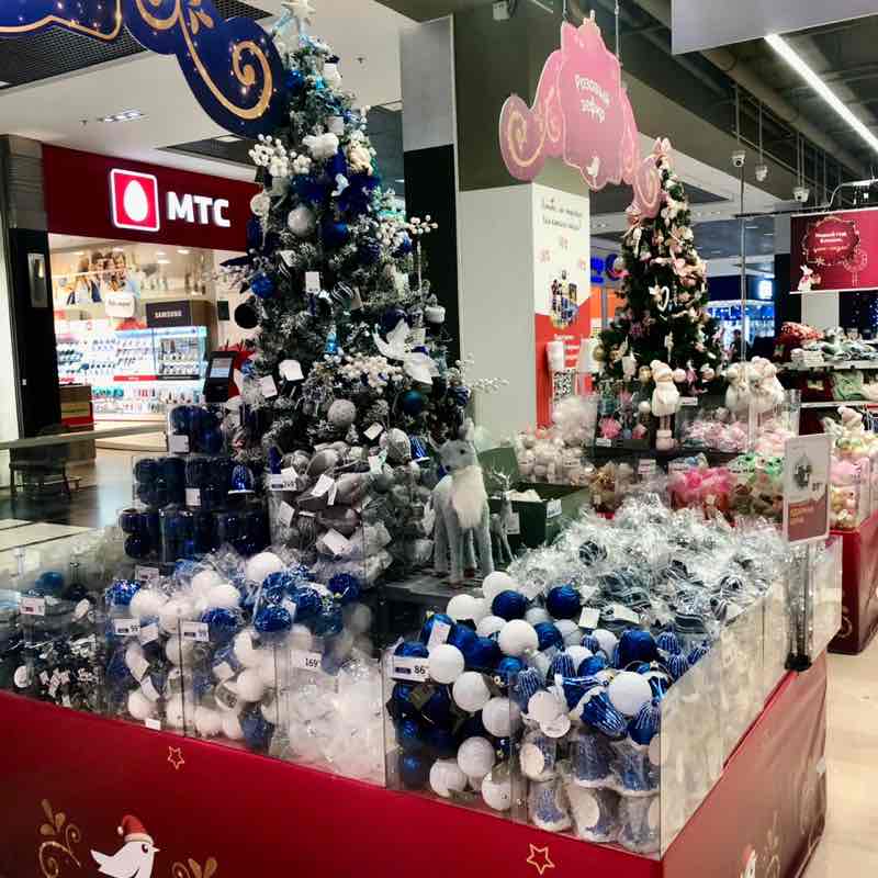 The Freedom Walkerโs Elena ๐ช post image