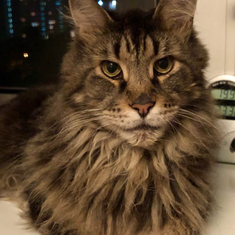 Matriochka Elena 🪆 post image