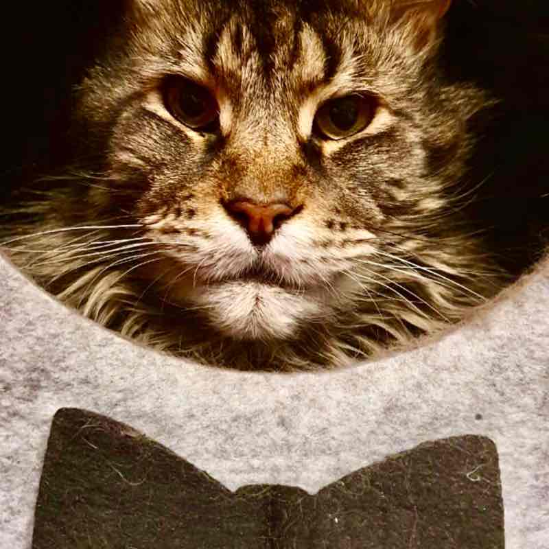 Matriochka Elena 🪆 post image