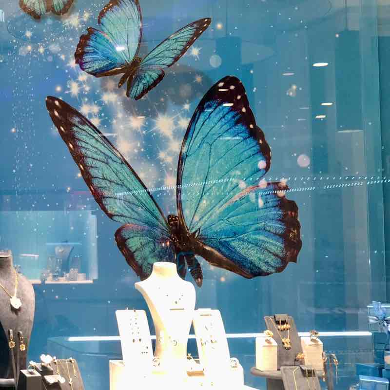 😍BEAUTIFUL NATURE😍 Elena 🪆 post image