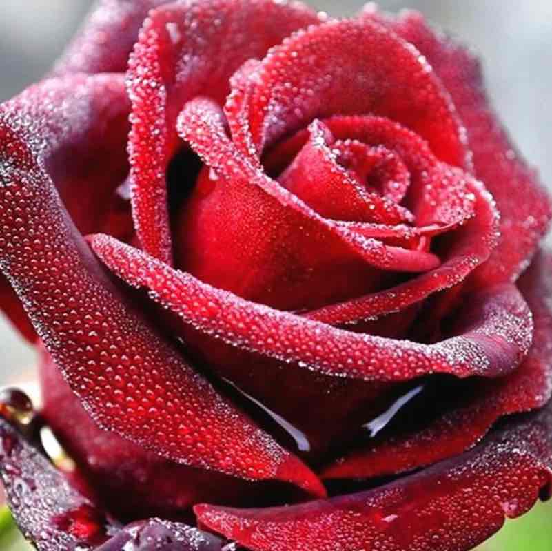 #GoRun To Health🏃🏻‍♀️🏃🏻 Елена🪆 post image