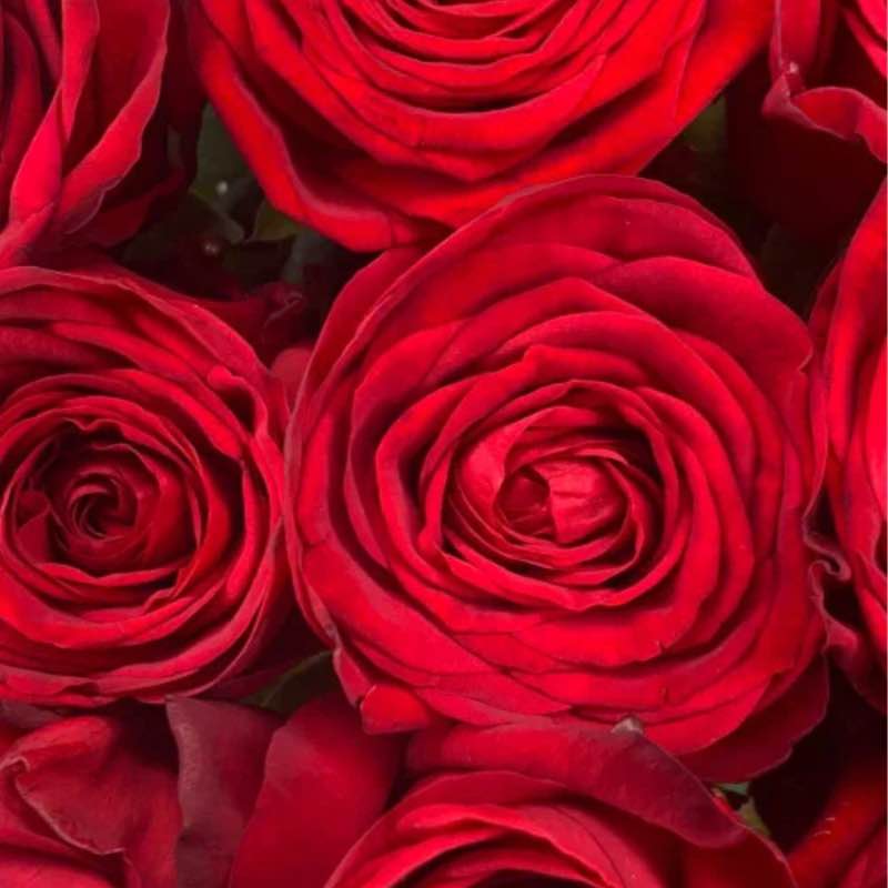 #GoRun To Health🏃🏻‍♀️🏃🏻 Елена🪆 post image