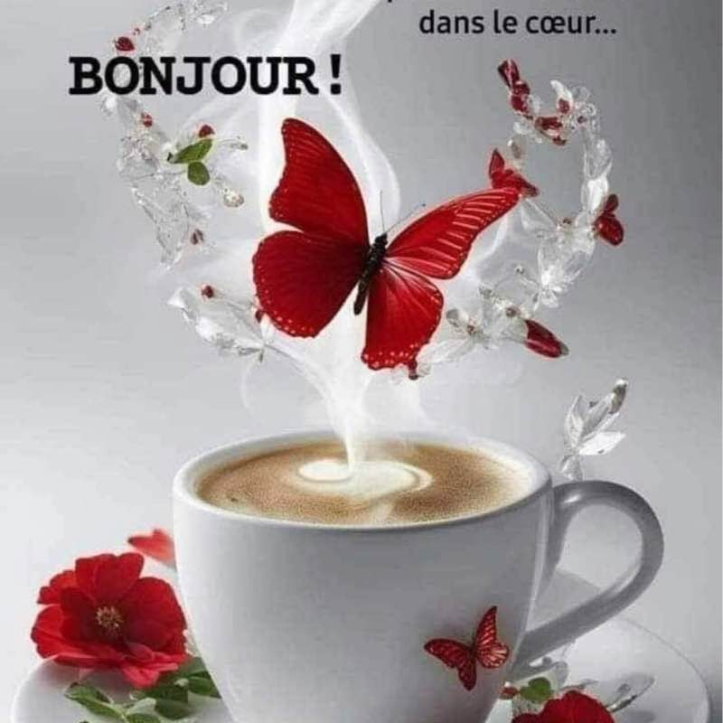 🦋💖BUTTERFLIES💖🦋 Elena 🪆 post image