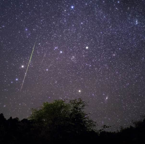 🌟✨Star’s Superstars ✨🌟 Елена🪆 post image