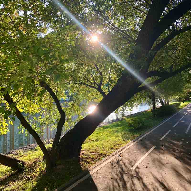 🌹NATURE  WALKS🌹 Елена🪆 post image