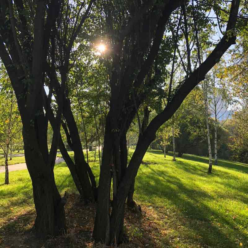 🌹NATURE  WALKS🌹 Елена🪆 post image