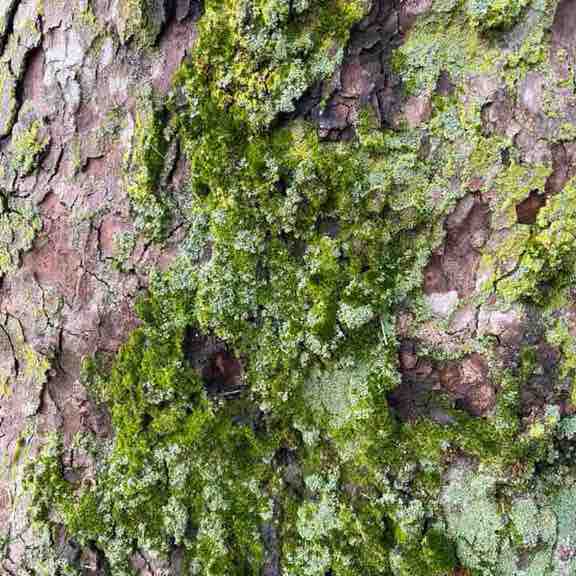 Amici  di Chicco Sardu😁 Chicco!🥇🍷7🏆👍😉 post image