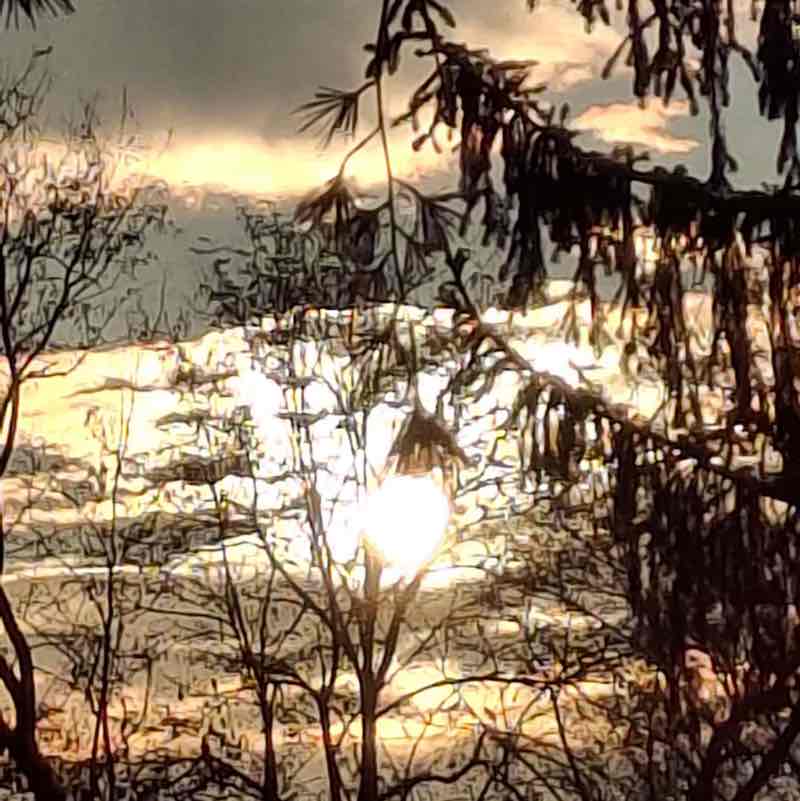 Amici  di Chicco Sardu😁 Chicco!🥇🍷7🏆👍😉 post image