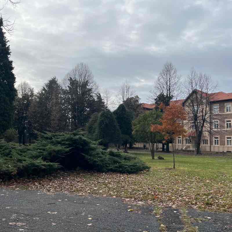 Amici  di Chicco Sardu😁 Chicco!🥇🍷7🏆👍😉 post image