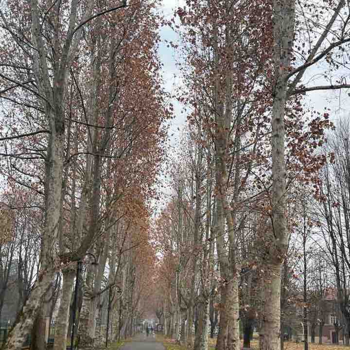 Amici  di Chicco Sardu😁 Chicco!🥇🍷7🏆👍😉 post image