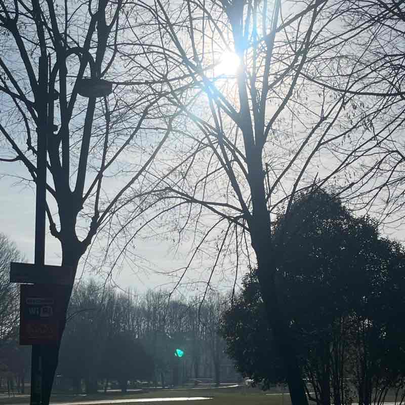 Amici  di Chicco Sardu😁 Chicco!🥇🍷7🏆👍😉 post image