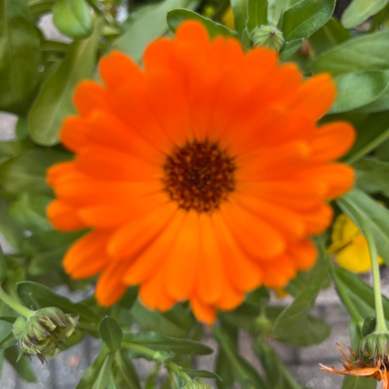 Amici  di Chicco Sardu😁 Chicco!🥇🍷7🏆👍😉 post image