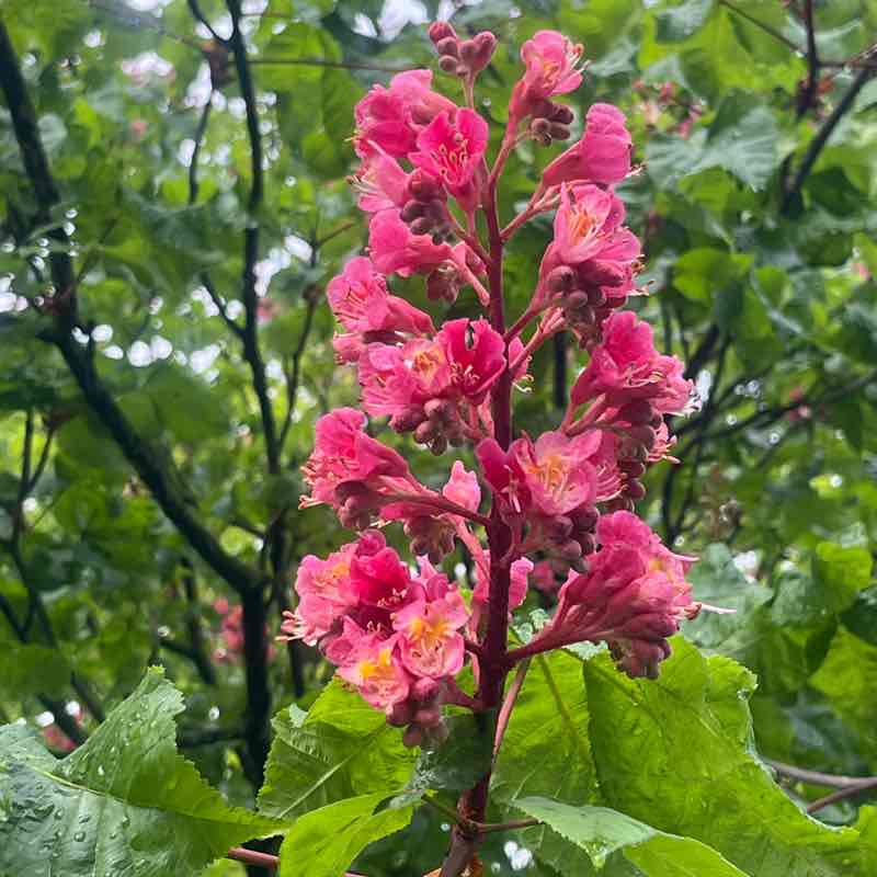 Amici  di Chicco Sardu😁 Chicco!🥇🍷7🏆👍😉 post image