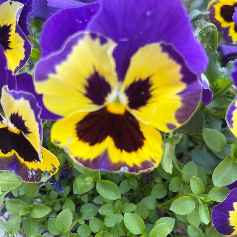 Amici  di Chicco Sardu😁 Chicco!🥇🍷7🏆👍😉 post image